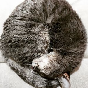 Meet your Posher, Catherine